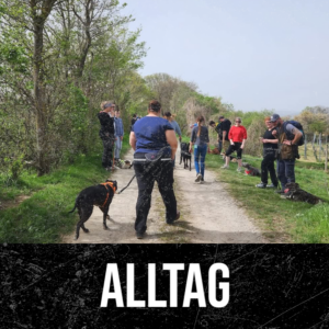 Alltagstraining