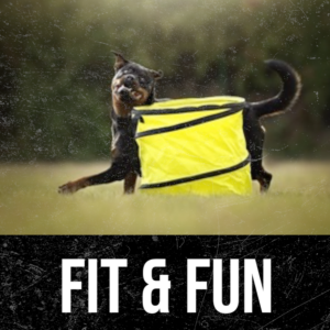FIT & FUN