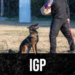 IGP