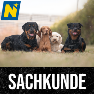 Sachkunde Niederösterreich