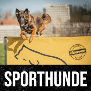 Sporthunde