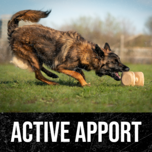 Active Apport