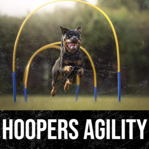 Hoopers Agility