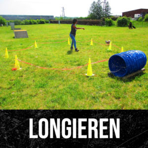 Longieren
