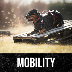 Mobility