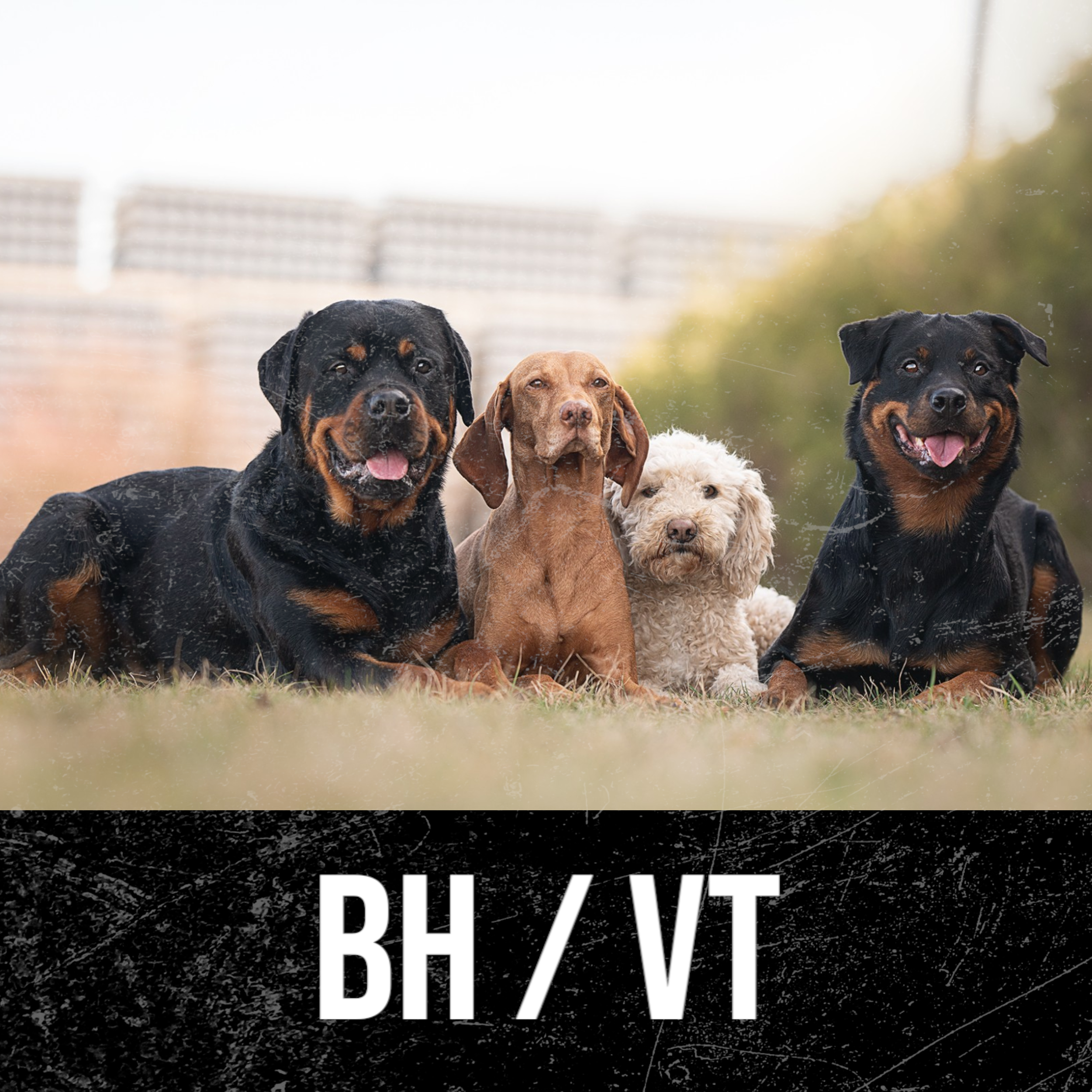 BH/VT Training / Dienstag