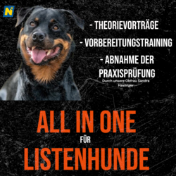 All in One für Listenhunde