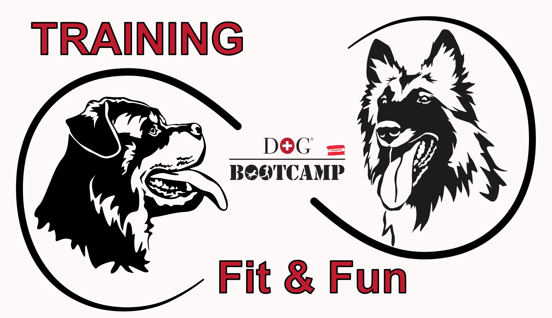 Hunde Workshops